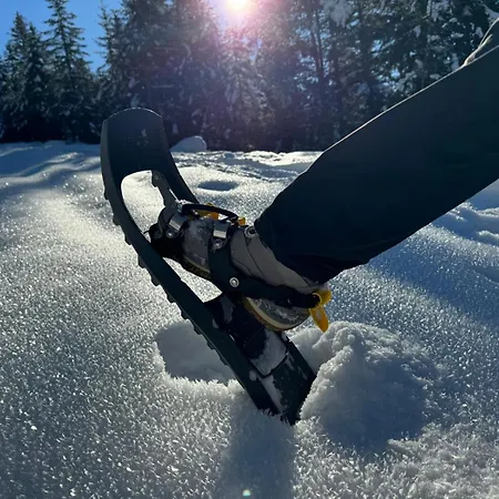 Апарт-отель Alpenlandhaus Menardi Зеефельд в Тироле