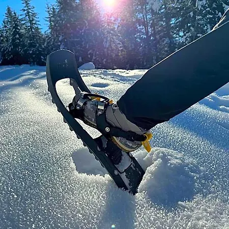 Alpenlandhaus Menardi 4* Seefeld in Tirol