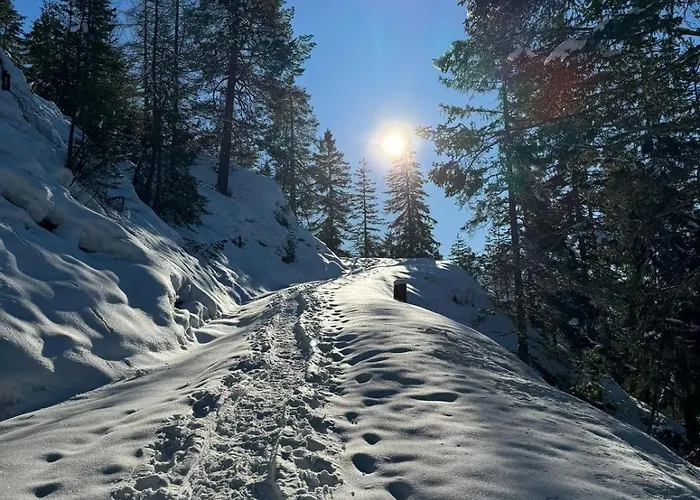 Alpenlandhaus Menardi شقة فندقية