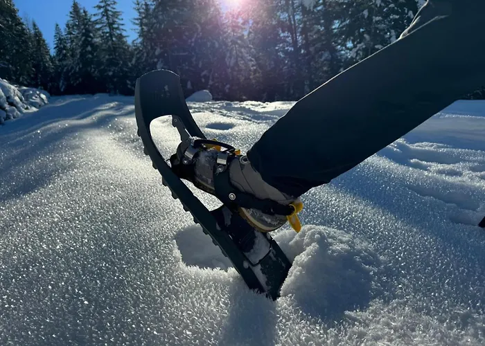 شقة فندقية Alpenlandhaus Menardi سيفيلد ان تيرول