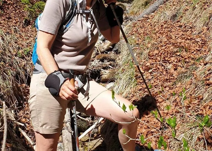 Alpenlandhaus Menardi شقة فندقية