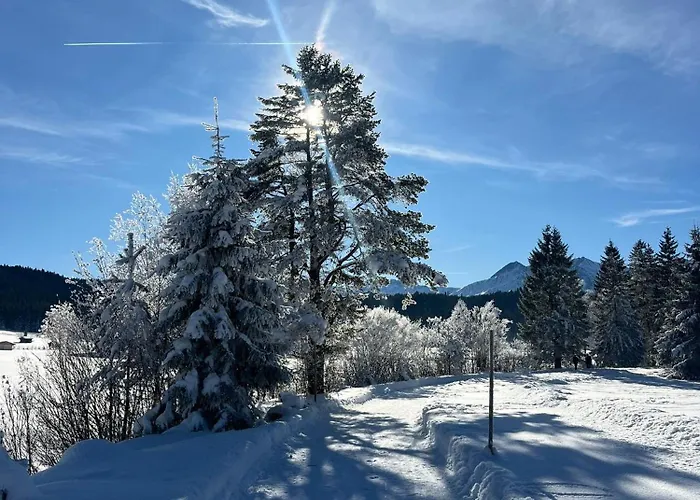 Lejlighedshotel Alpenlandhaus Menardi 4*